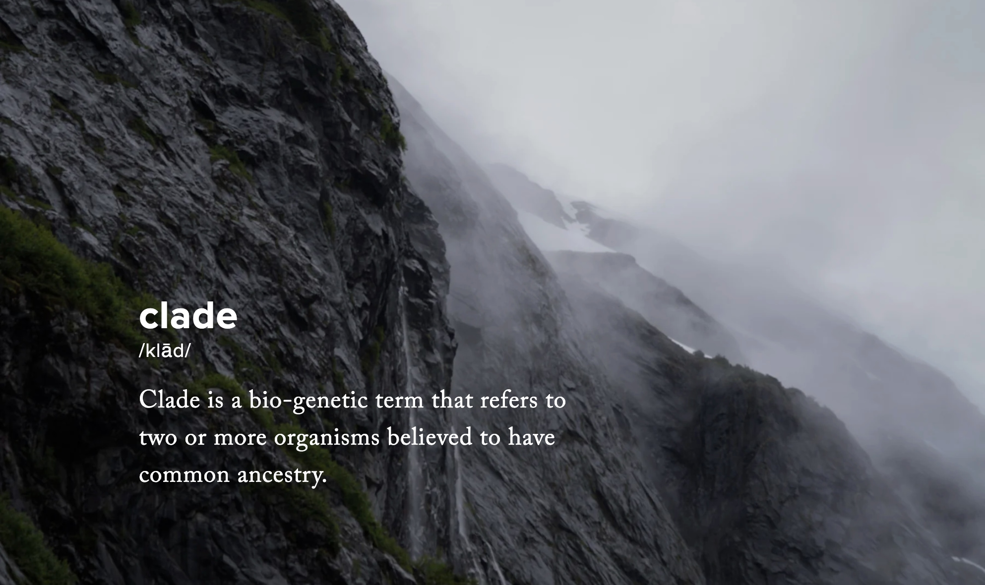 Clade Apparel Featured Image