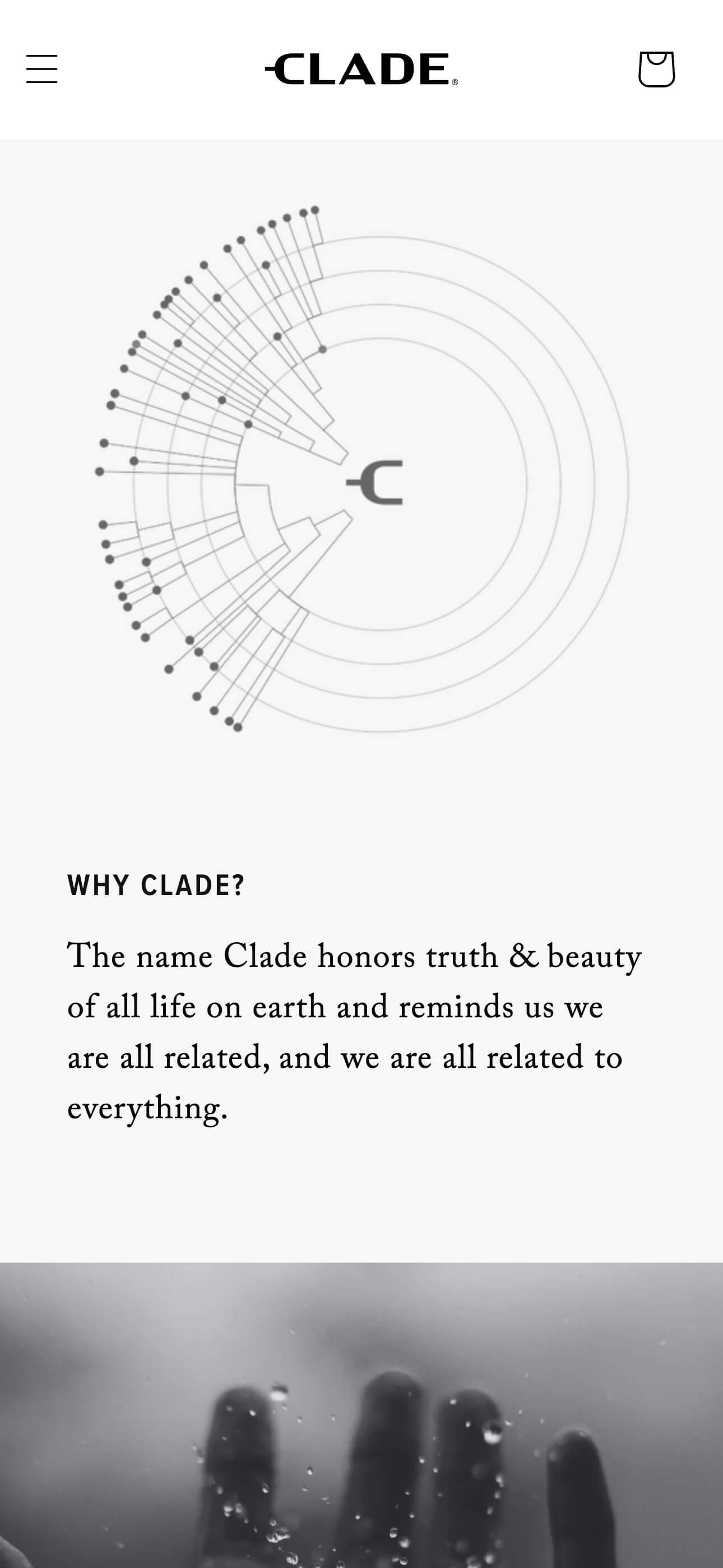 Clade Apparel Showcase Image